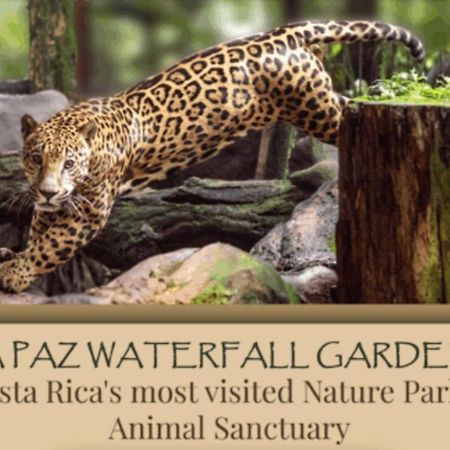 La Cabana Heredia Ngoại thất bức ảnh